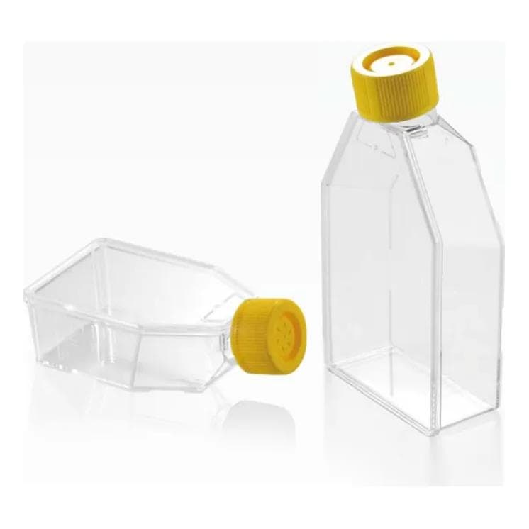Cell culture flask